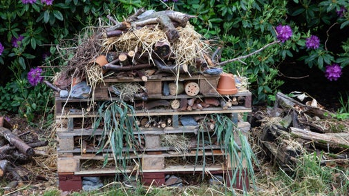 Bug hotel at Lydford Gorge, Devon